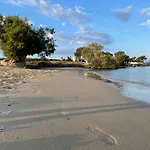 Playera Holiday home *