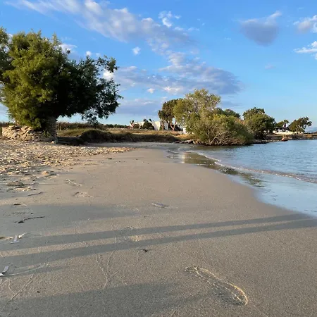 Playera G Sea View Casa de Férias *