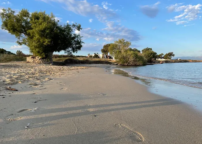 Playera G Sea View 度假居 *