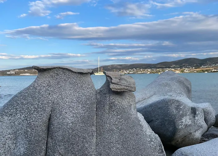 Playera G Sea View * 纳乌萨